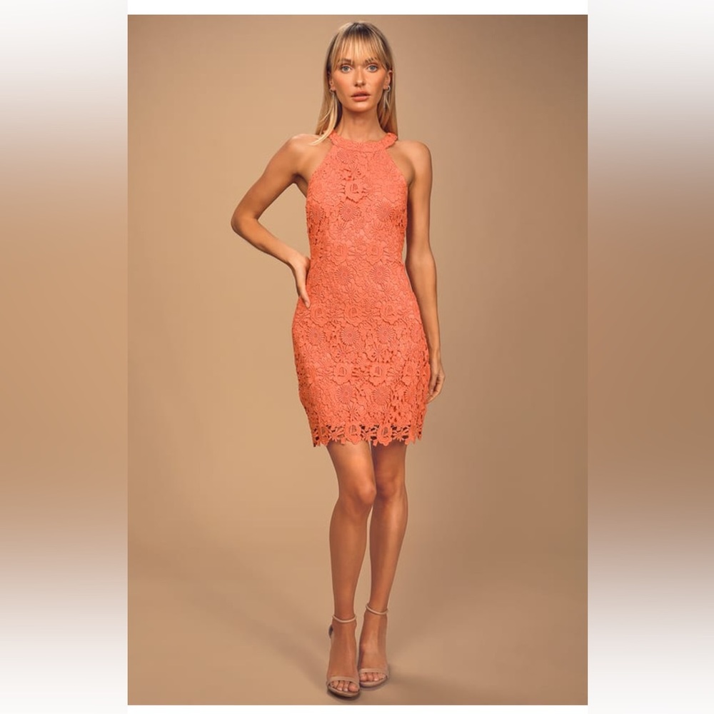 Lulus Love Poem Lace Coral Dress